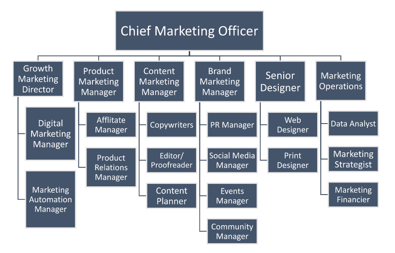 sales and marketing department structure