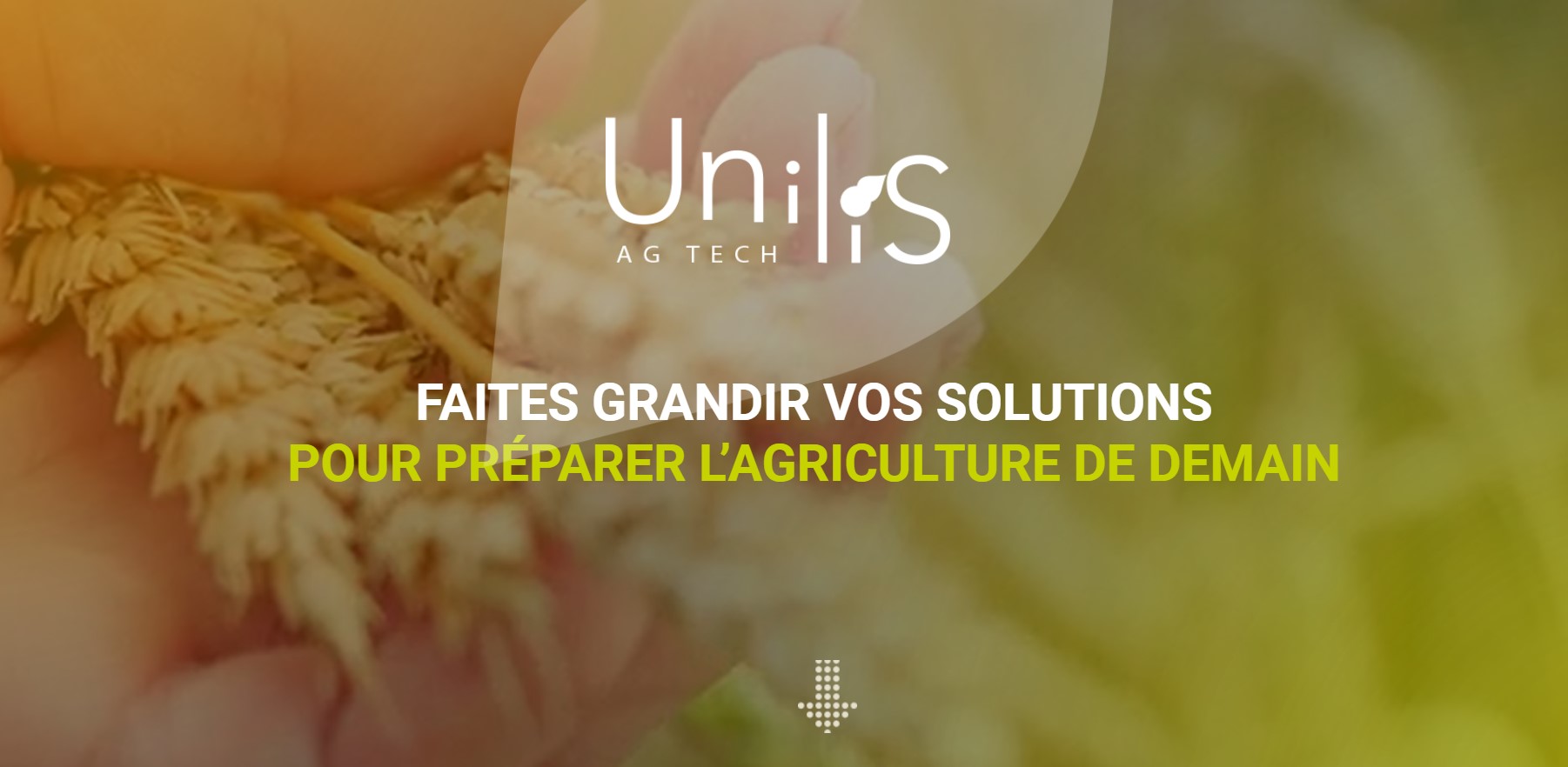 Unilis Agtech