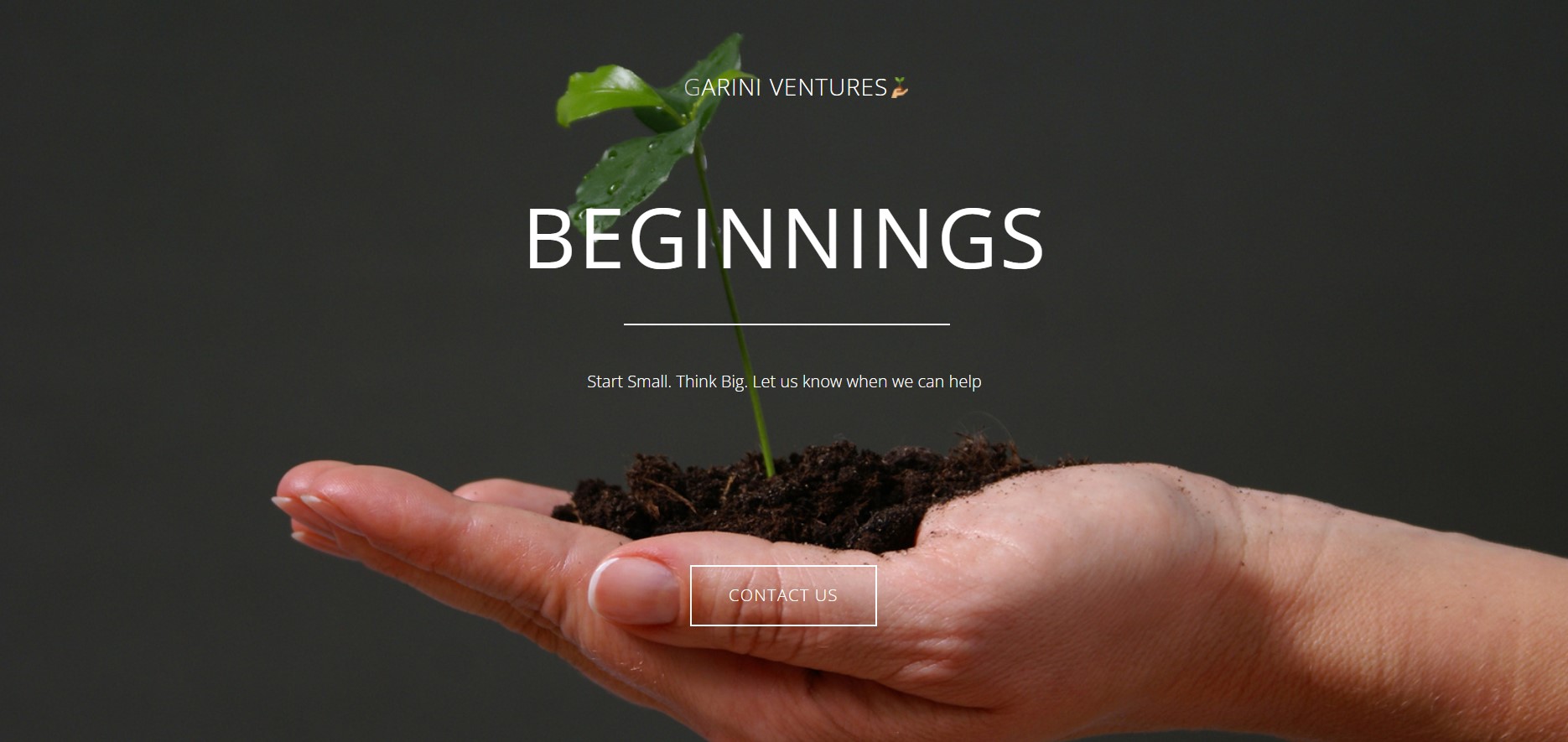 Garini Ventures