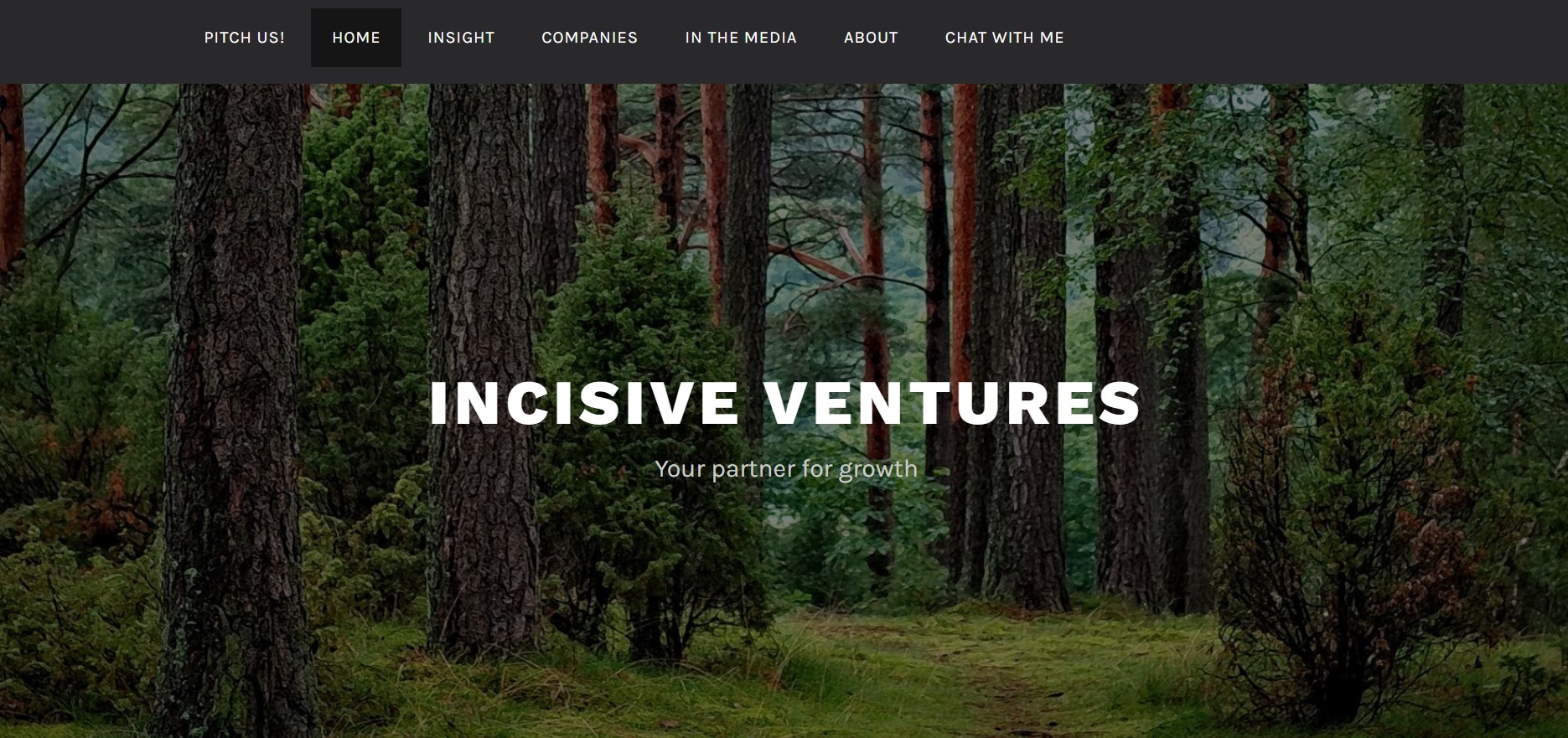 Incisive Ventures