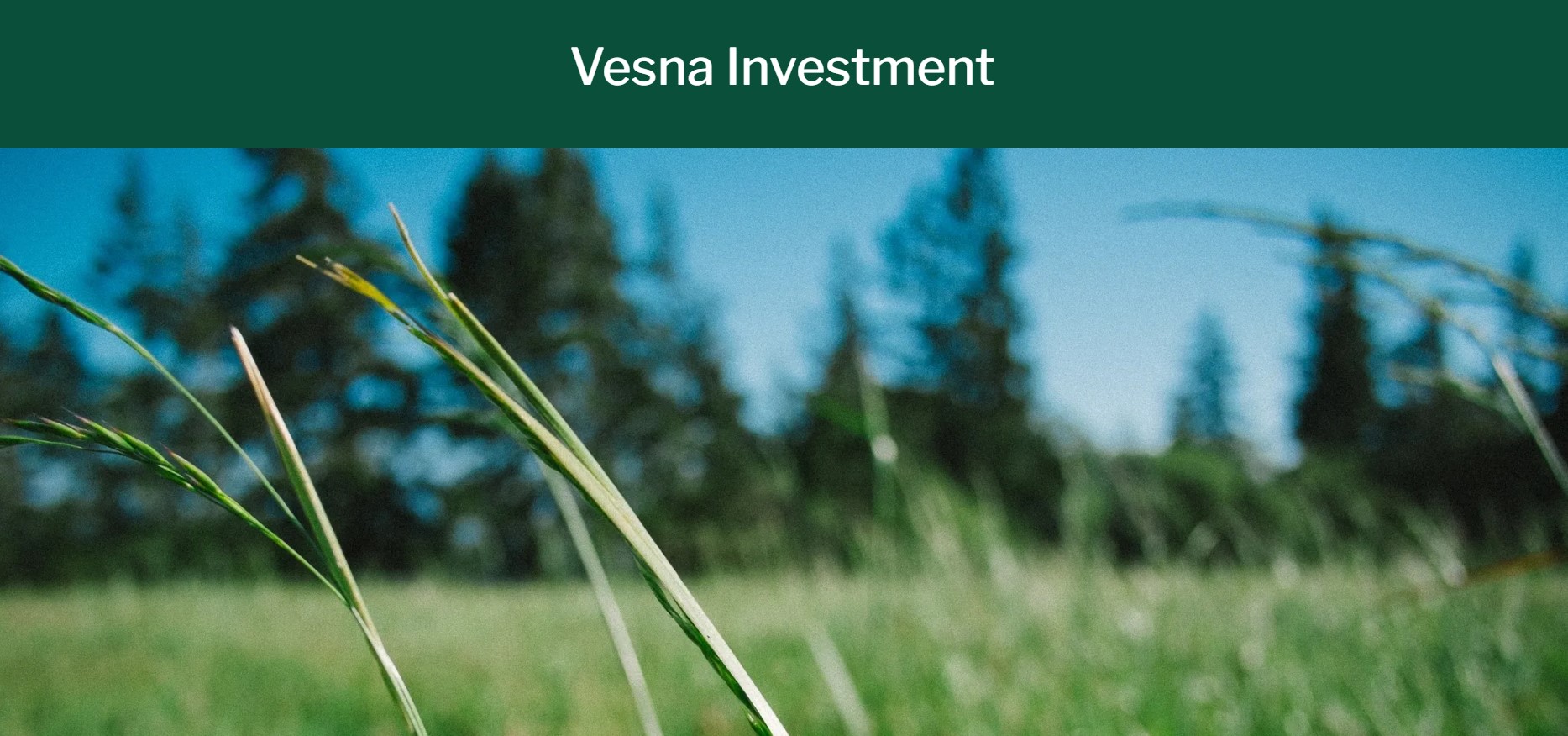 Vesna Investment